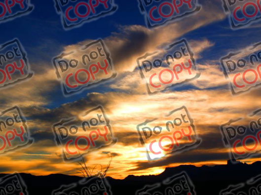 watermark image